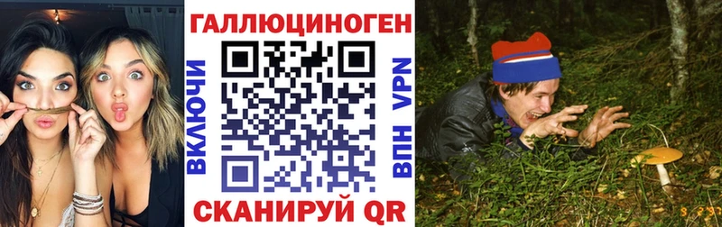 kraken как войти как найти наркотики Апатиты Псилоцибиновые грибы прущие грибы